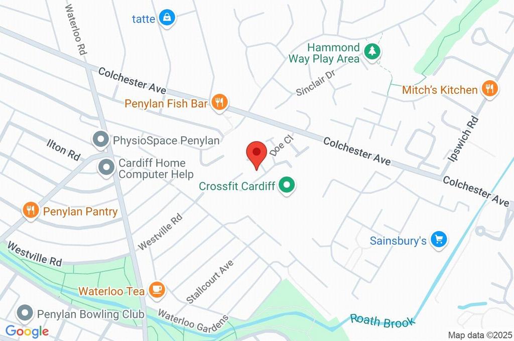 Google Maps Image