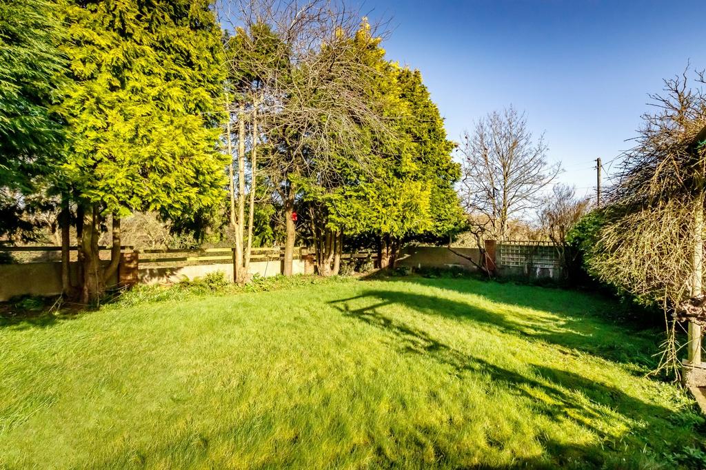 Domestic Garden
