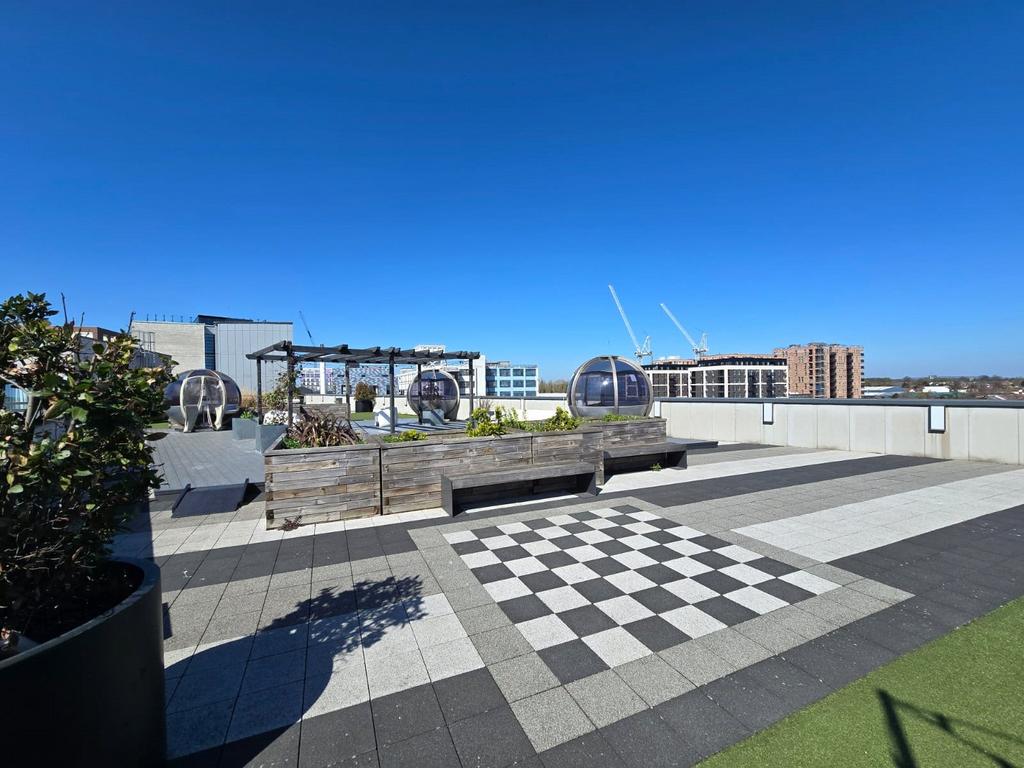 Communal Rooftop
