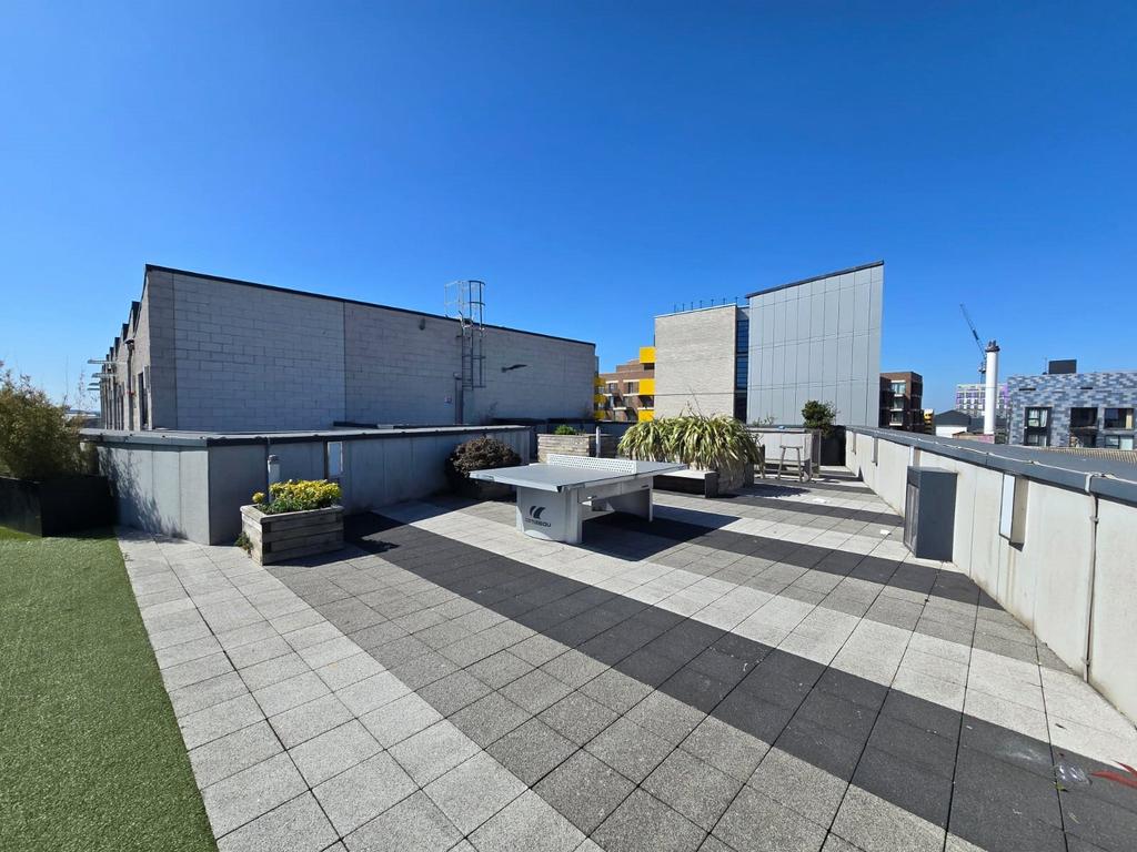 Communal Rooftop