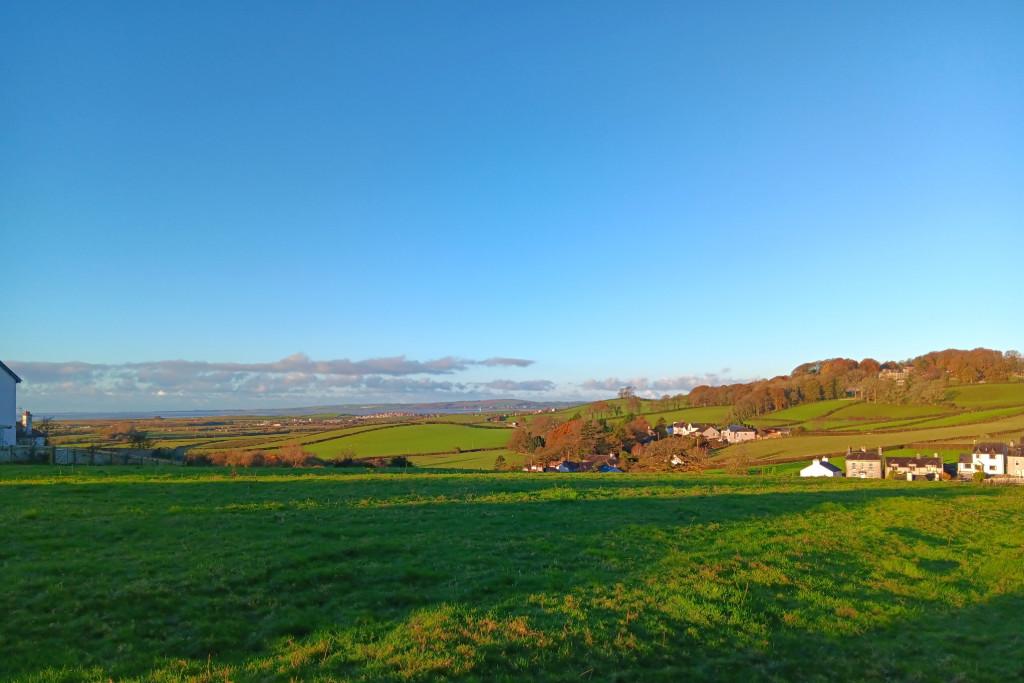 View from Garden