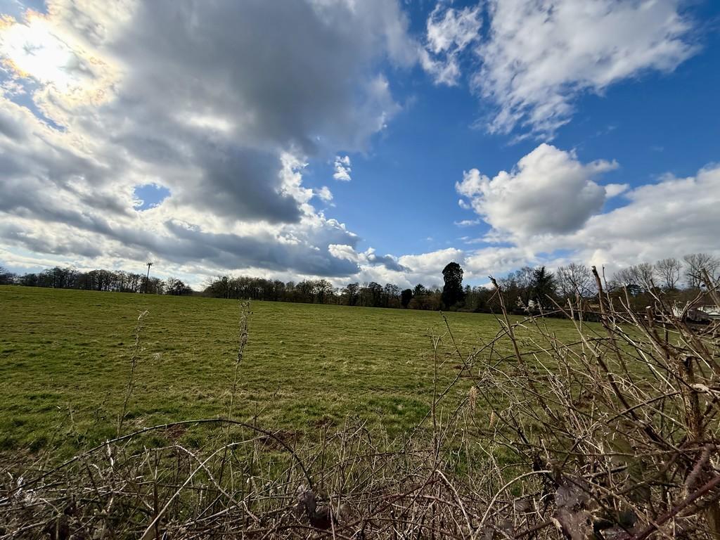 Field Views