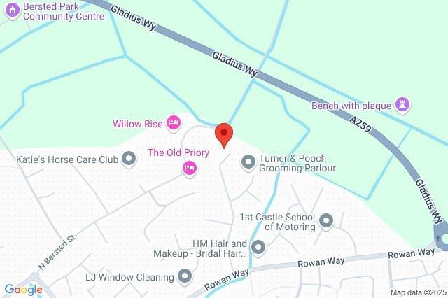 Google Maps Image