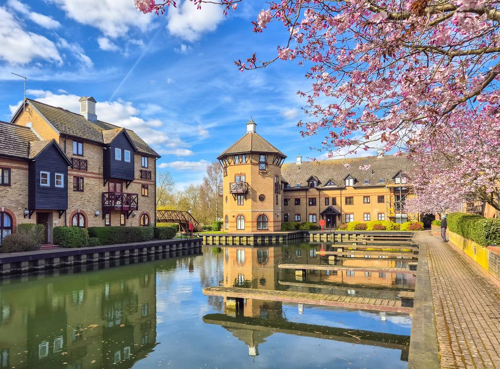 Picture No. 09