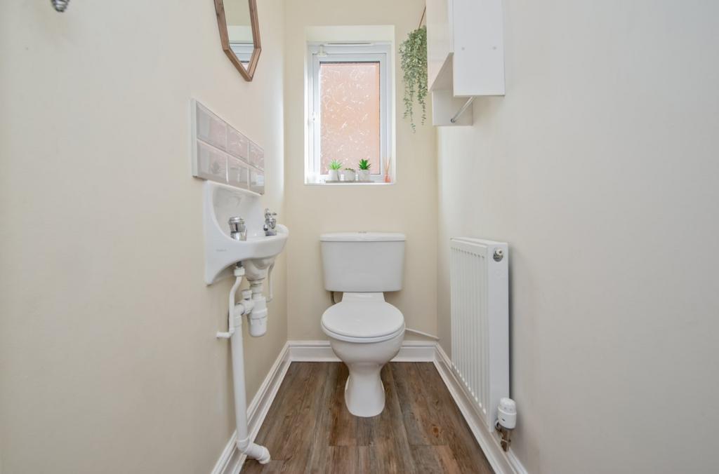 Picture 15