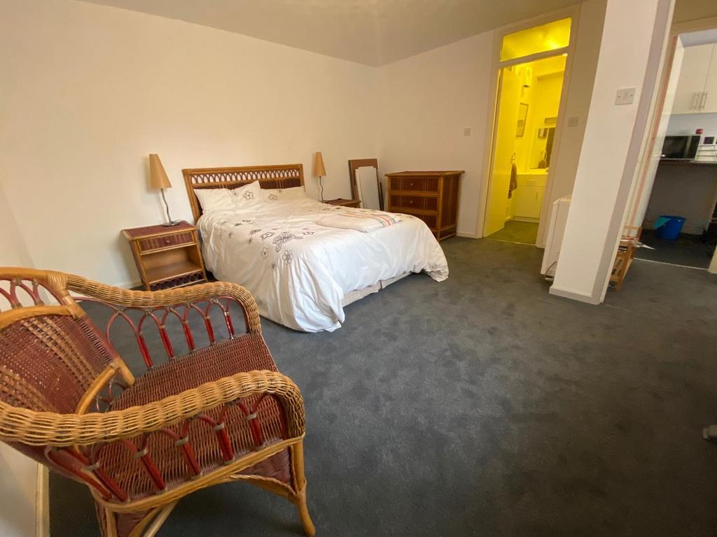 Bedroom / Living Area