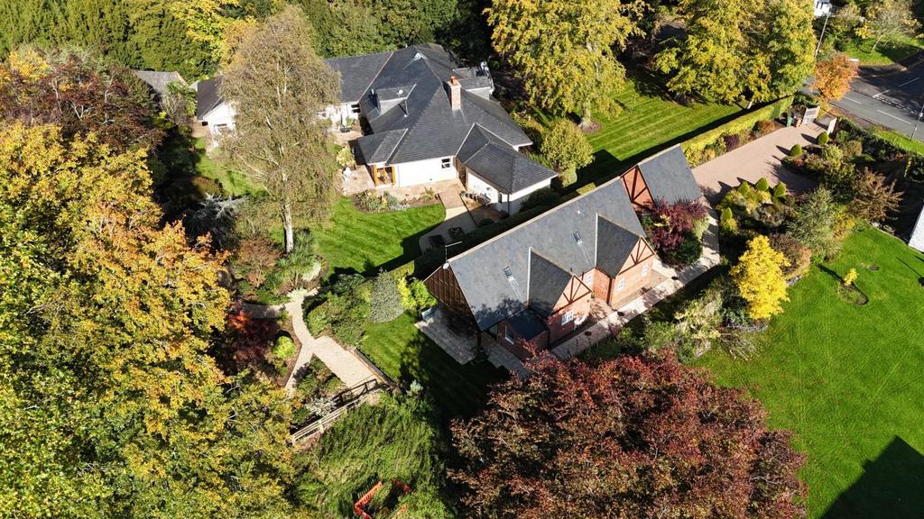 Aerial