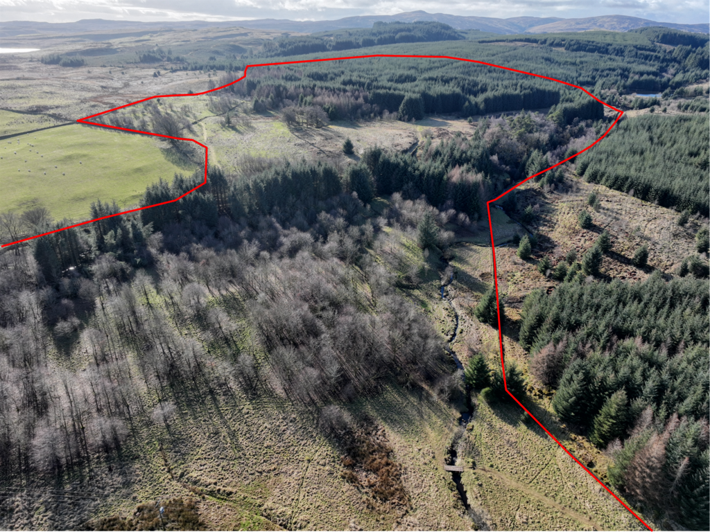 Locher Wood