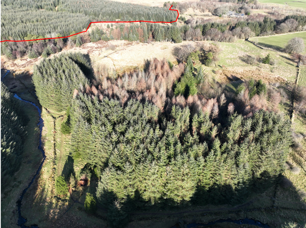 Locher Wood