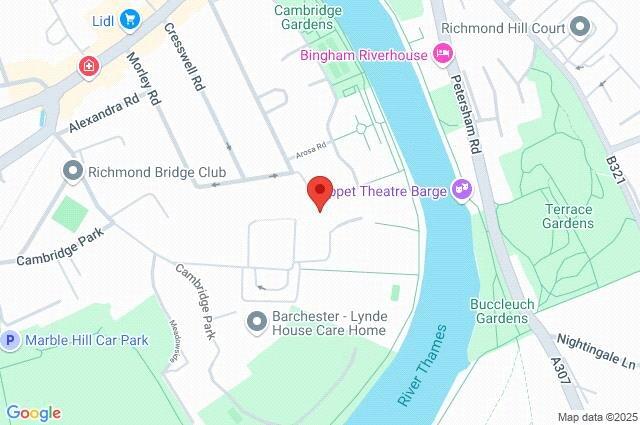 Google Maps Image