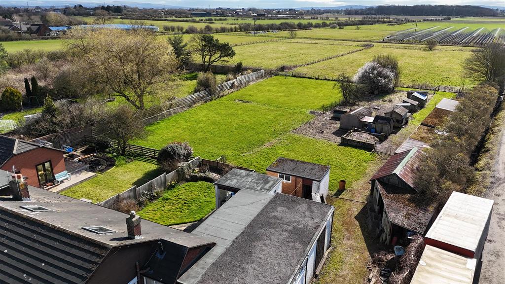 Dji fly 20250313 111356 0195 1741864954076 photo.j