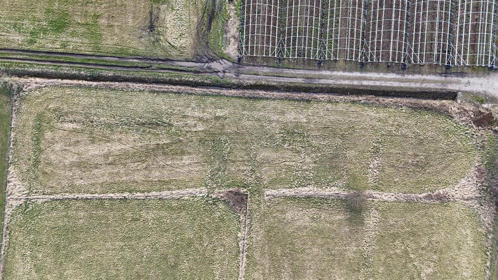 Dji fly 20250313 111850 0204 1741864933799 photo.j