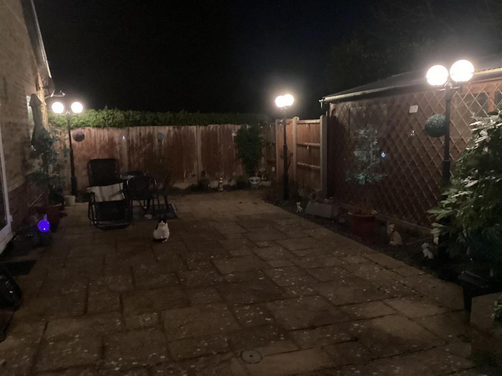 Night Gdn 3.jpg
