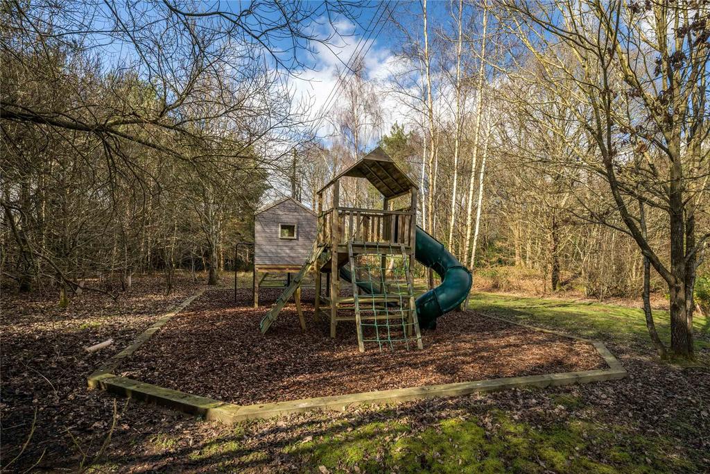 Play Area