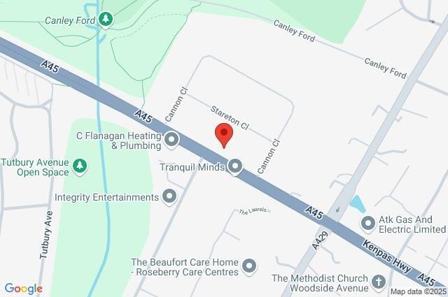Google Maps Image