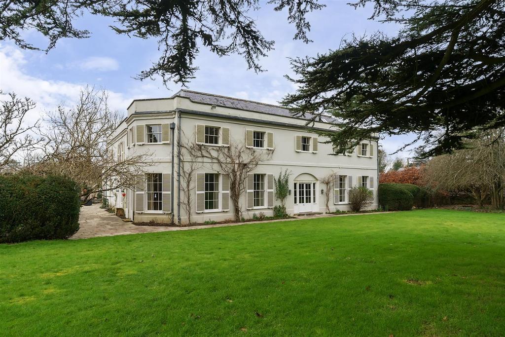 Southern Facing Garden
