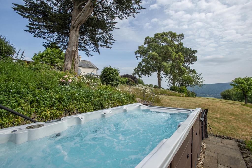 Jacuzzi swim spa.JPG
