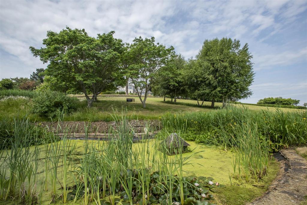 Main House Ponds.JPG