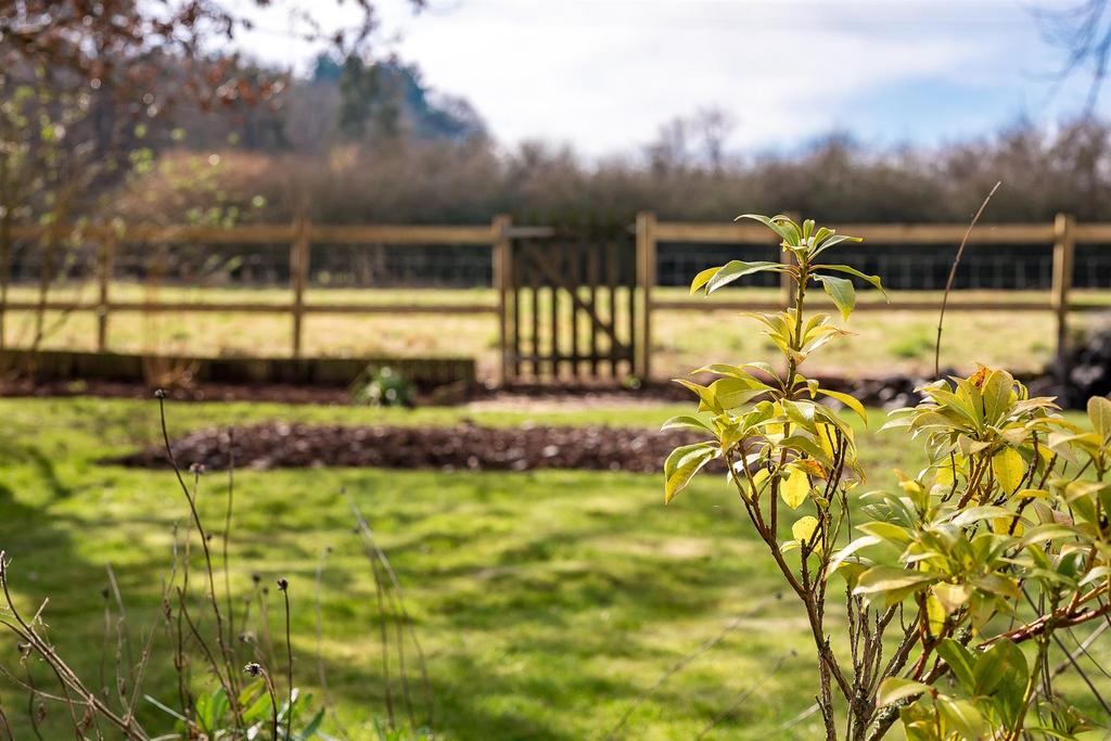 Rear garden Views