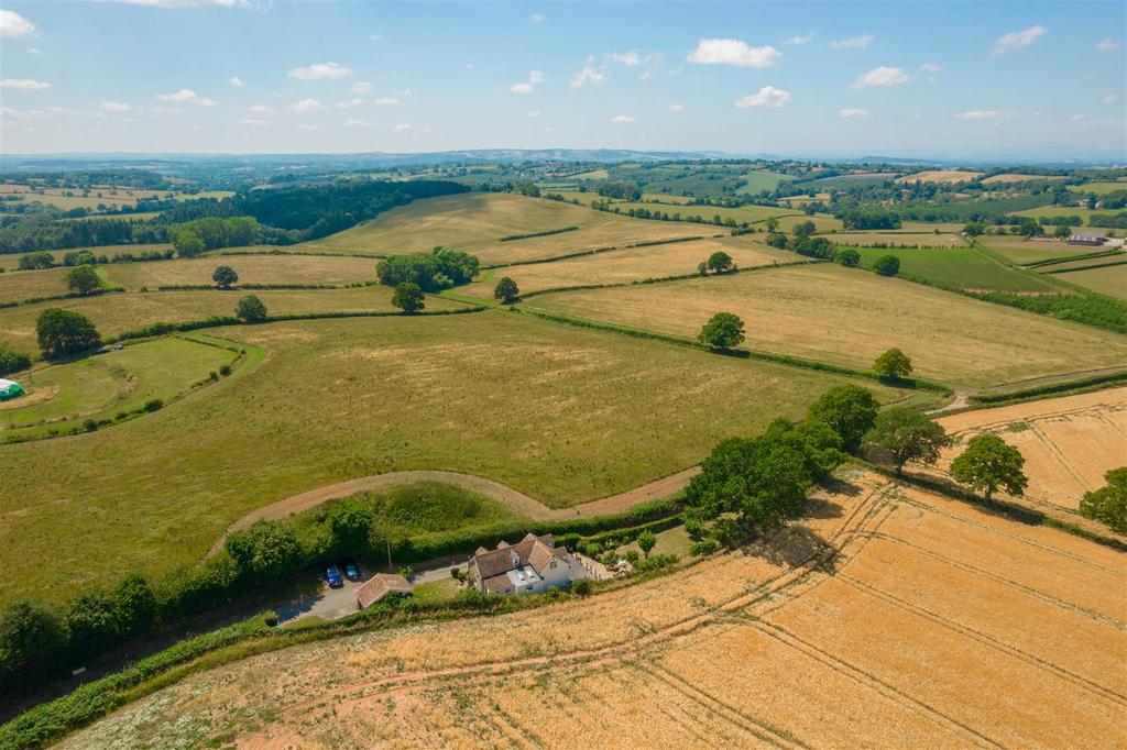 DJI 0397.jpg