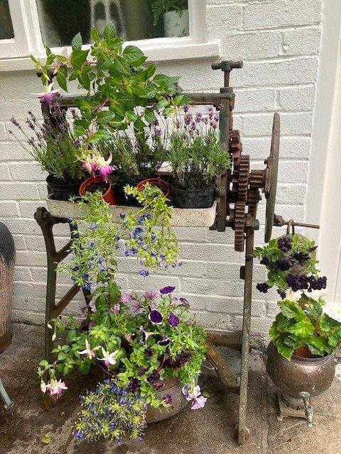 Summer Garden
