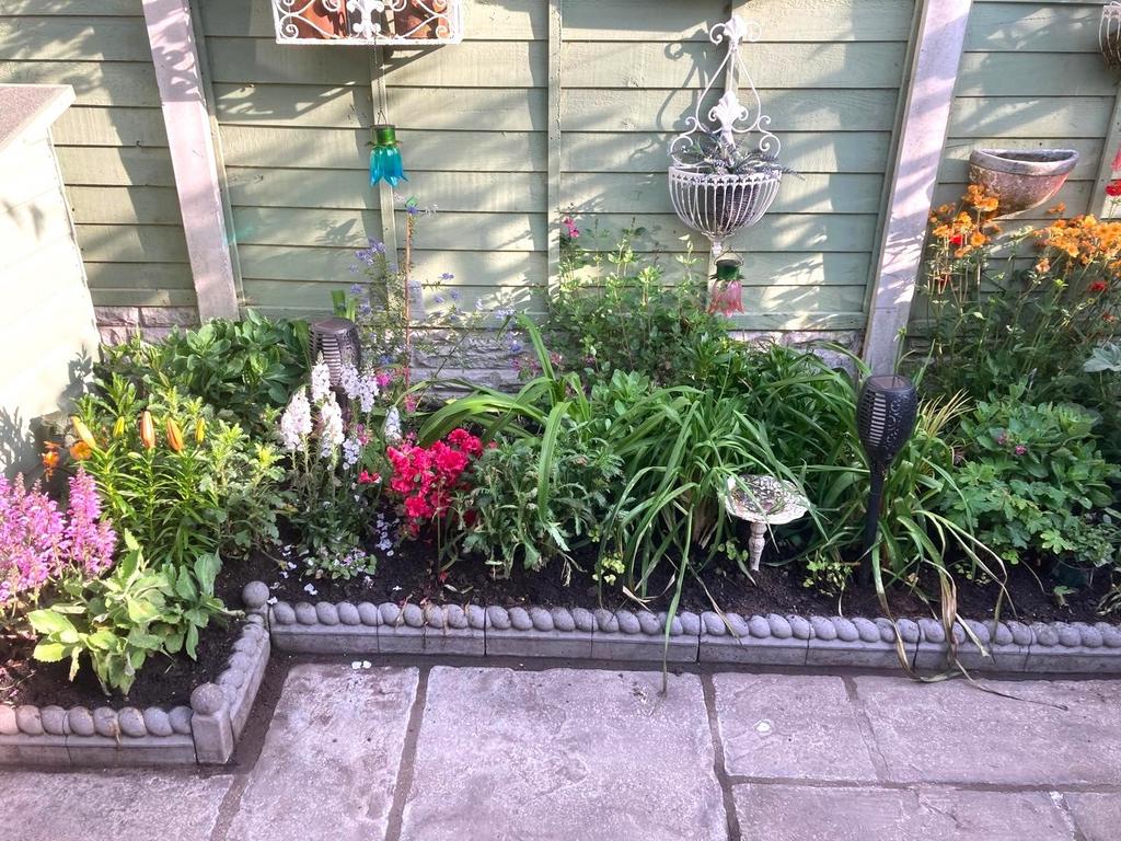 Summer Garden