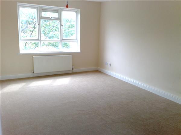 Lounge /Kitchen