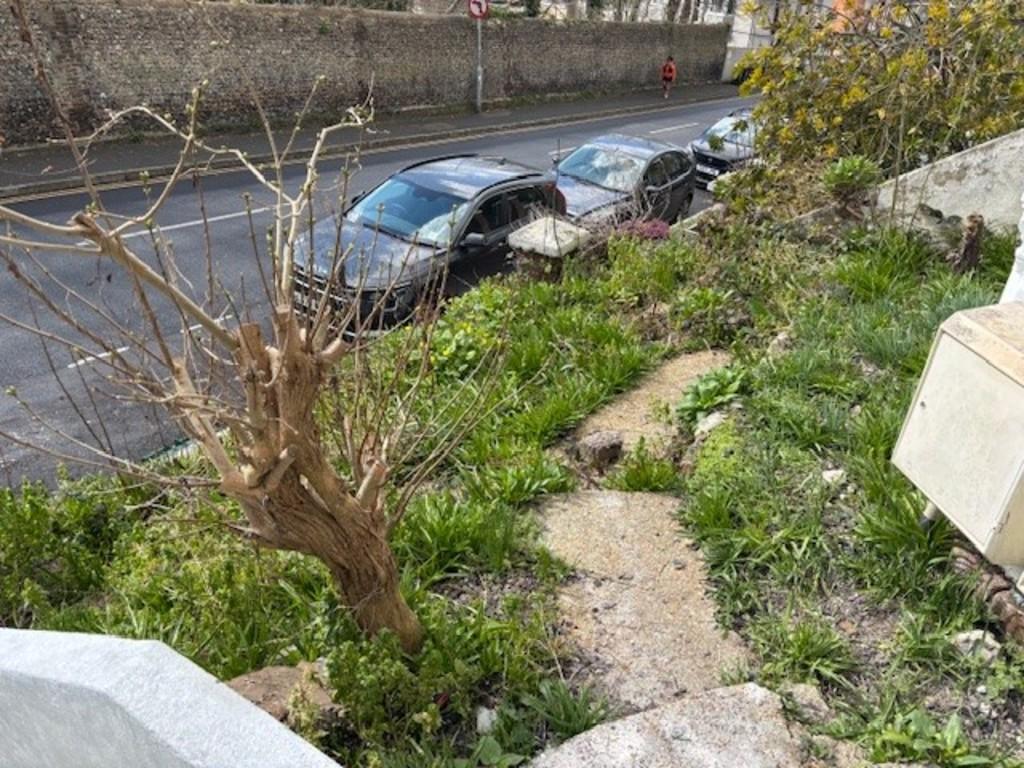 Front garden
