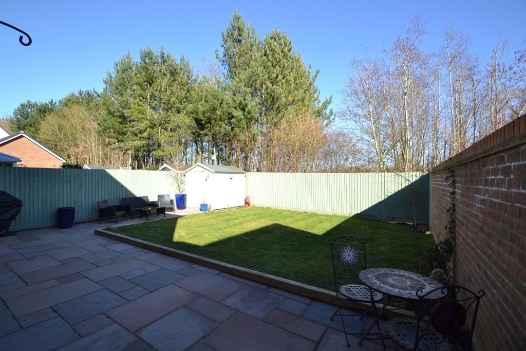 Garden b.JPG