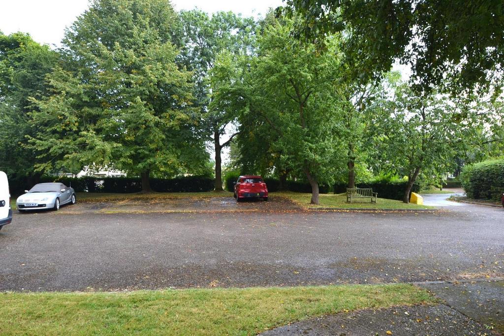 Parking .JPG
