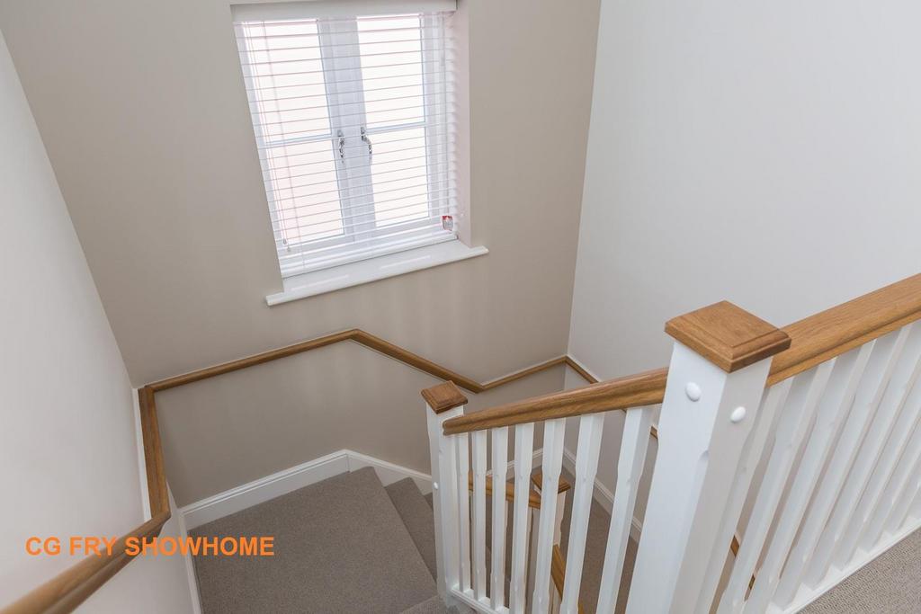 MG 0208.jpg EDIT.jpg