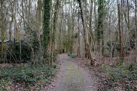 Woodland for sale, Callow, Hereford HR2