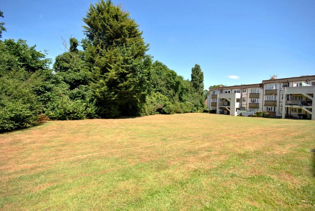 Communal garden