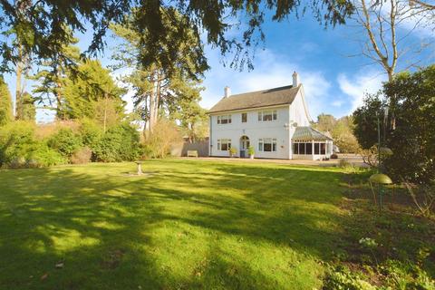 undefined, Scotter Common