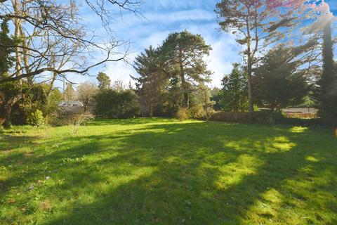undefined, Scotter Common