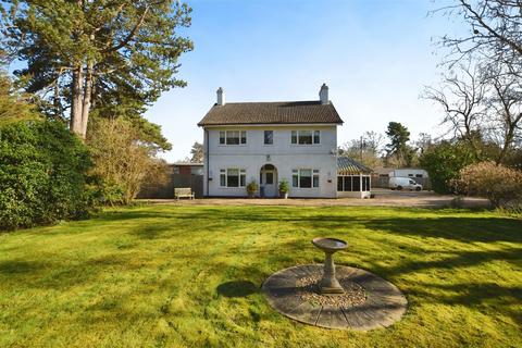 undefined, Scotter Common