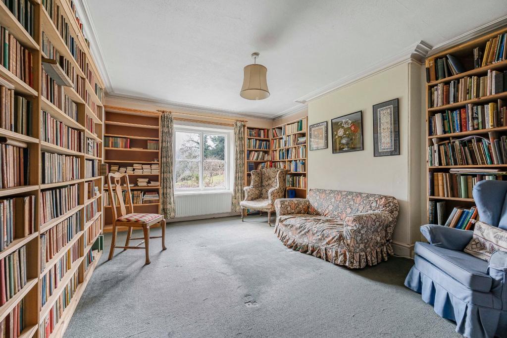 Picture 12
