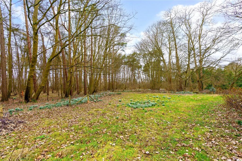 Woodland