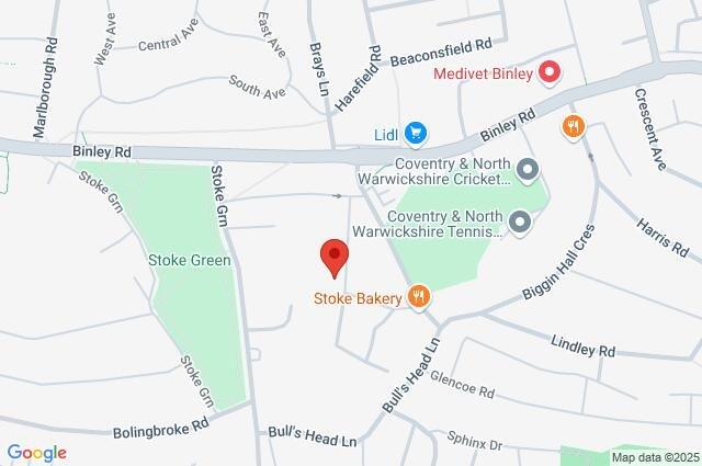 Google Maps Image