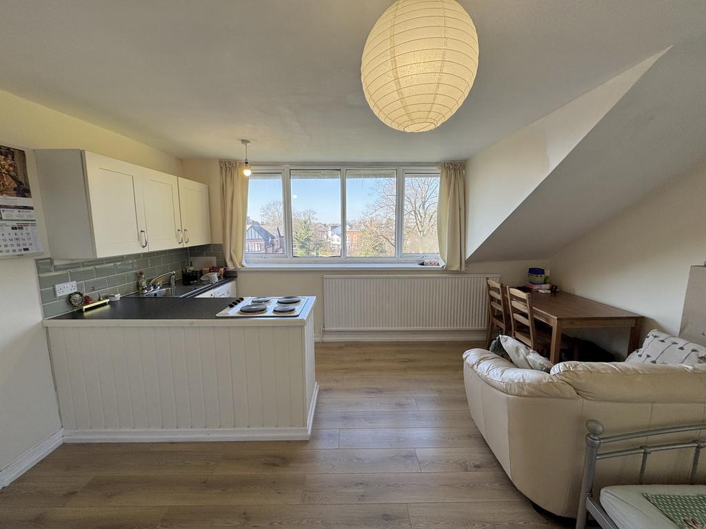Living & Kitchen Area