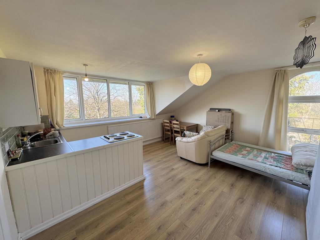 Living & Kitchen Area