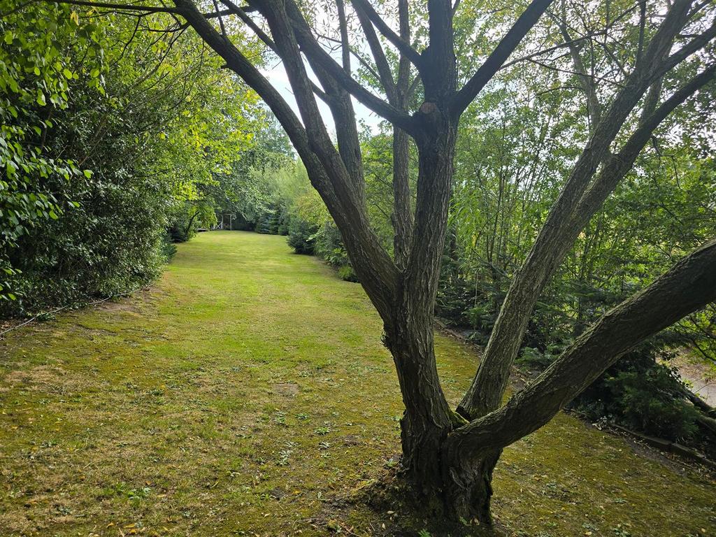 Rear Garden (16).jpg
