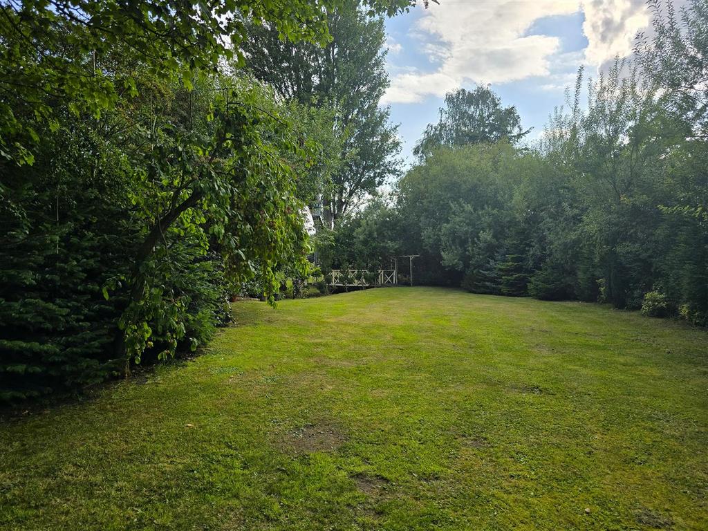 Rear Garden (17).jpg