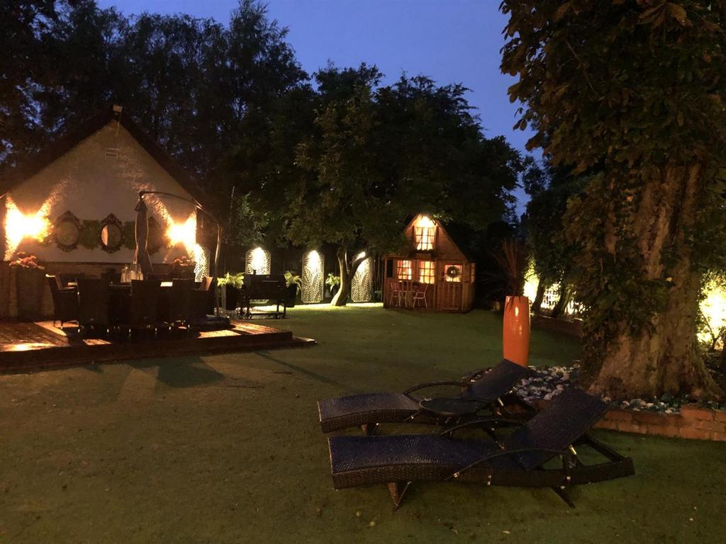 Garden at night