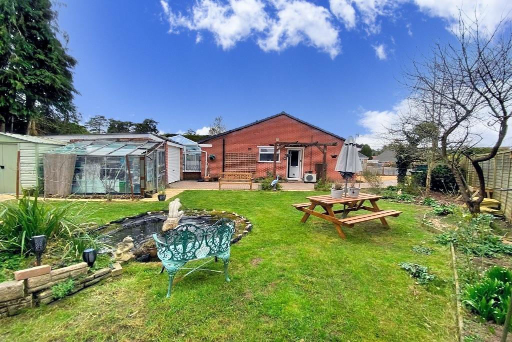 Secluded Plot