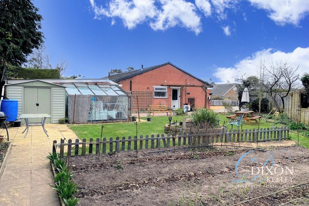 Sunny Garden