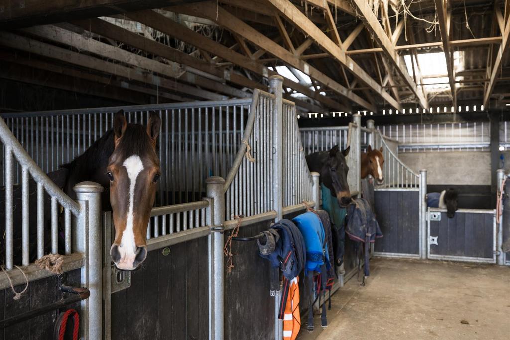 Glebe Farm-26.jpg