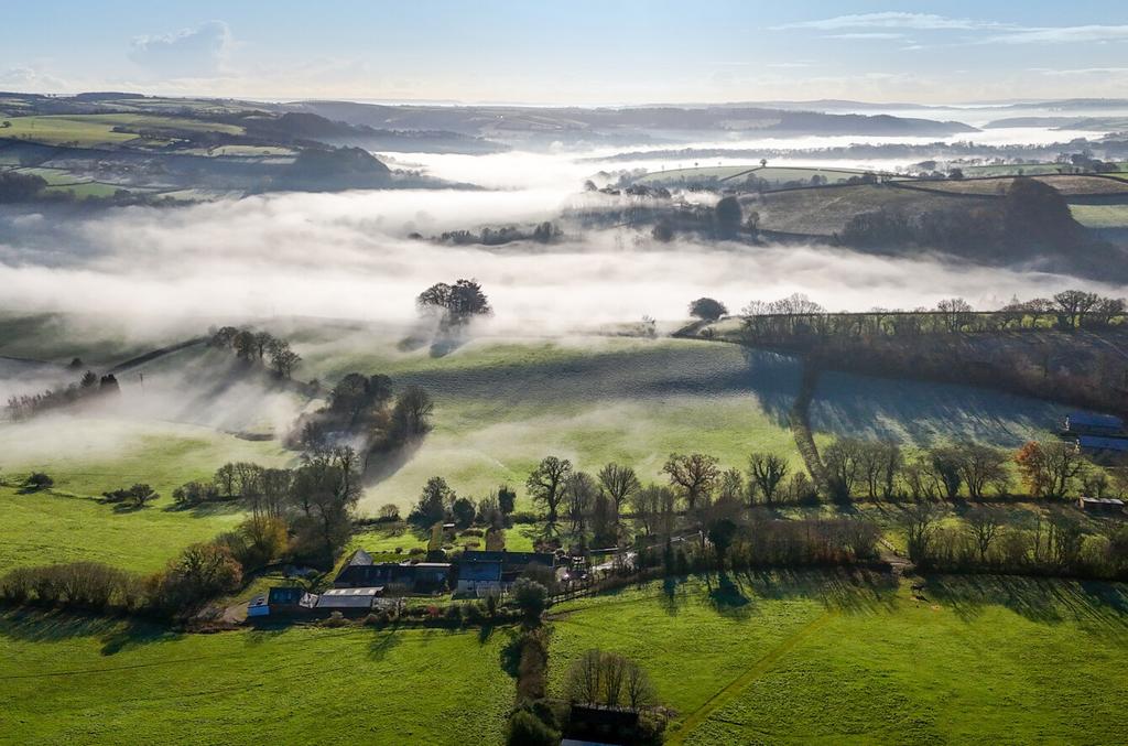 Bampton, Seddons