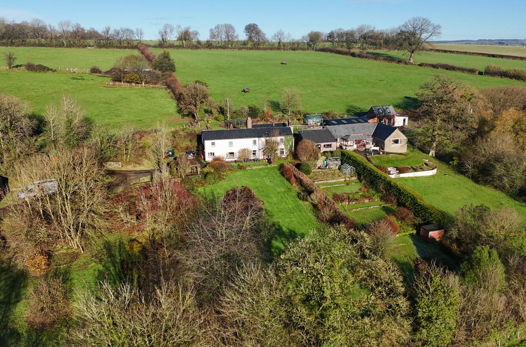 Bampton, Seddons