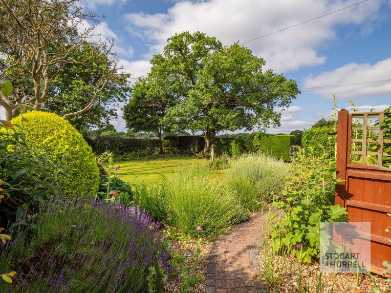 Established Planting